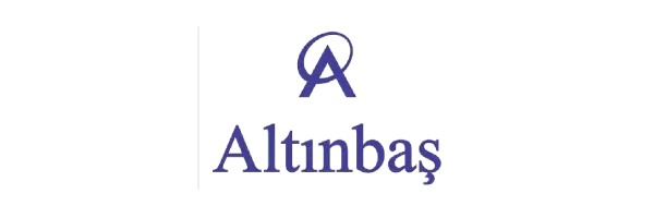 Altınbaş